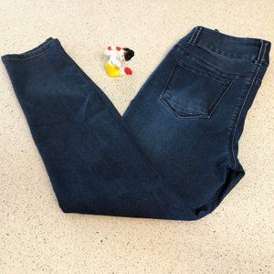 Workshop Republic dark wash skinny jeans